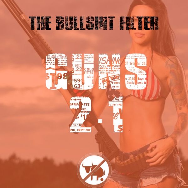 Gun Control 2.1