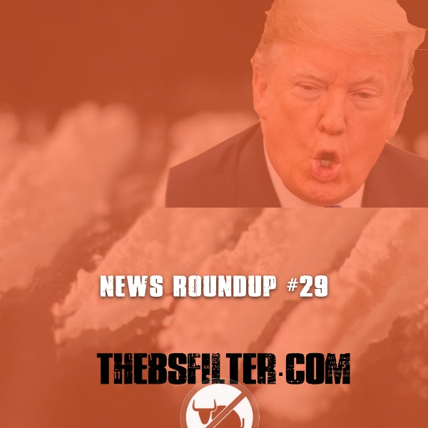 WEEKLY NEWS ROUNDUP #29